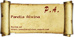 Pandia Alvina névjegykártya